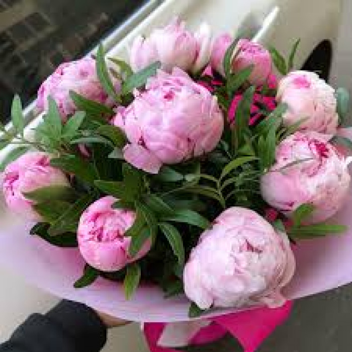 Пион древовидный в Экибастузе