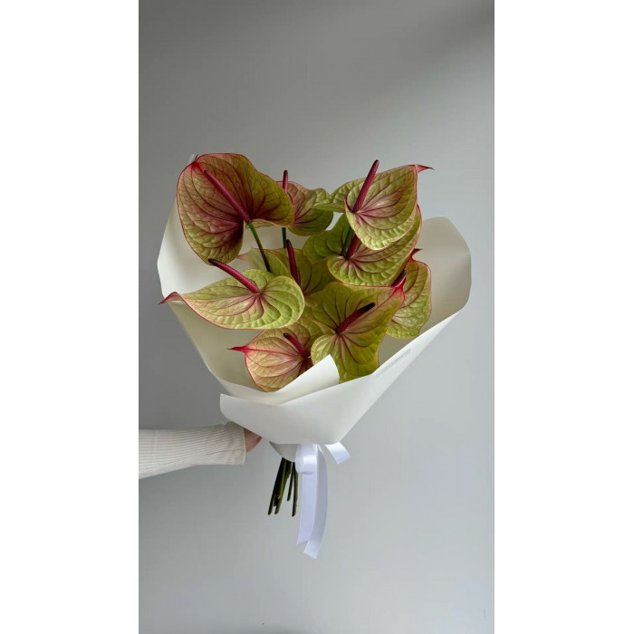 Антуриумы в Экибастузе