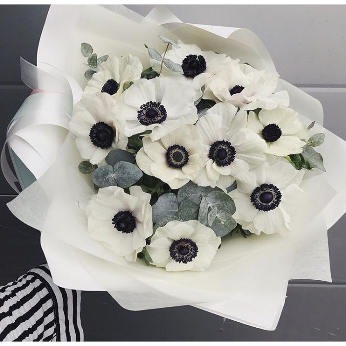 Анемоны в Экибастузе