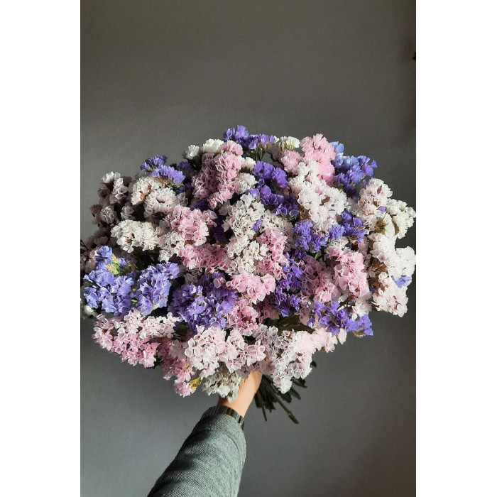 Статица (Лимониум) в Экибастузе