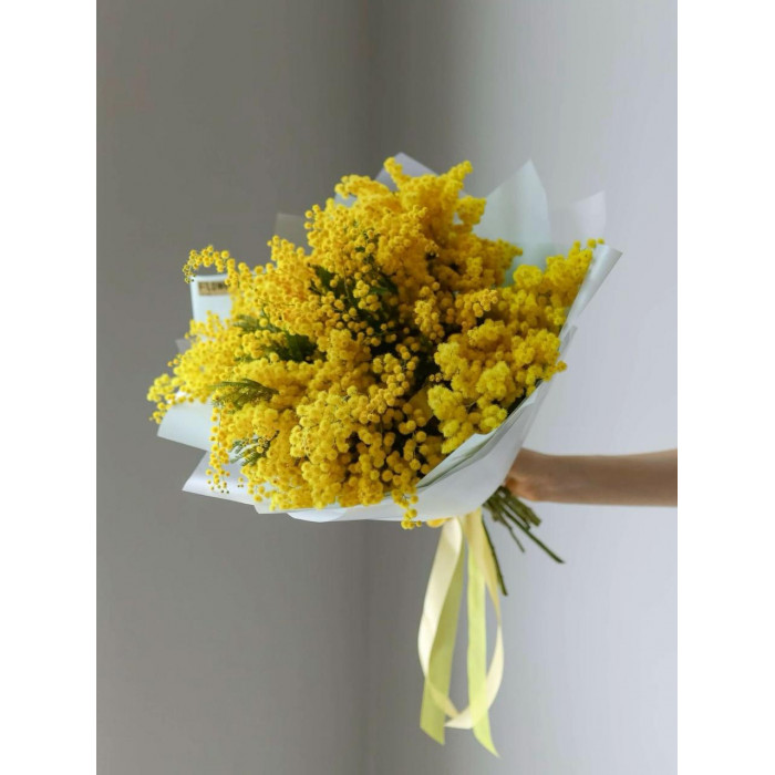 Мимоза в Экибастузе