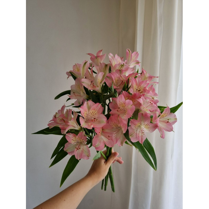 Альпиния в Экибастузе