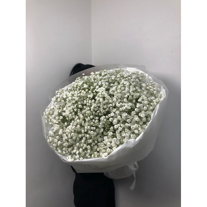 Гипсофила классическая в Экибастузе