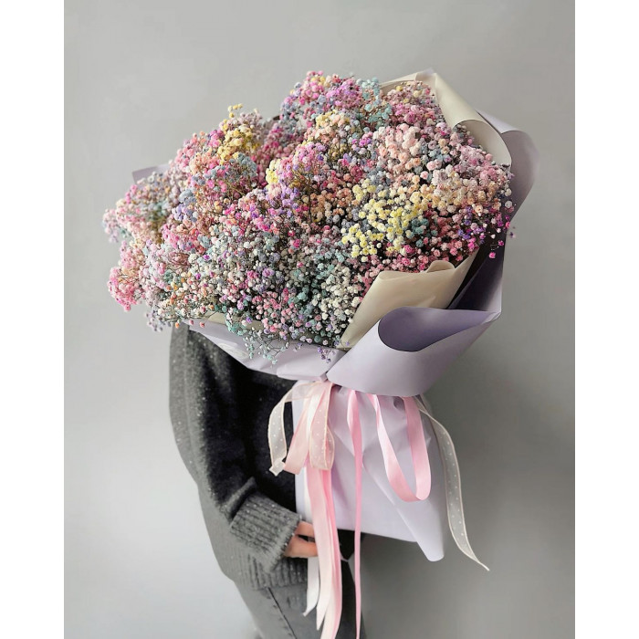 Гипсофила цветная в Экибастузе