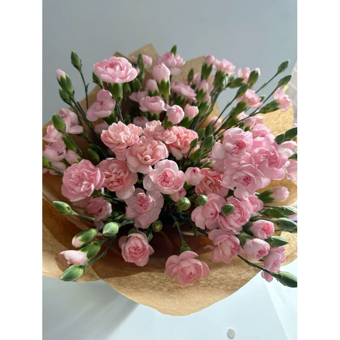 Кустовые гвоздики в Экибастузе