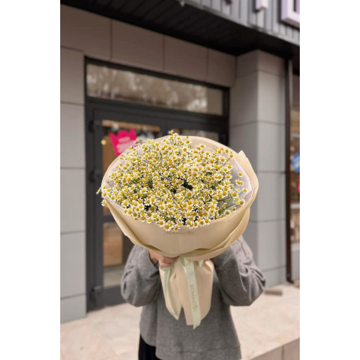 Танацетум в Экибастузе