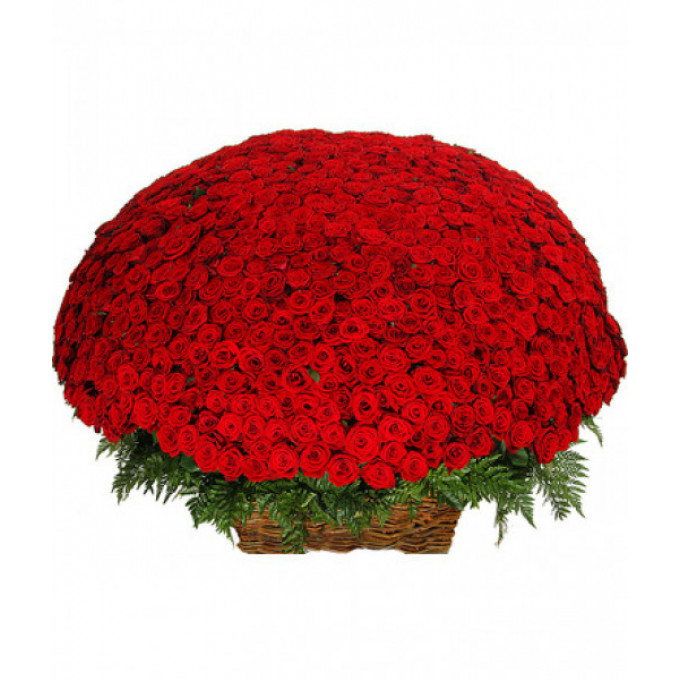 1001 роза 1001 роза